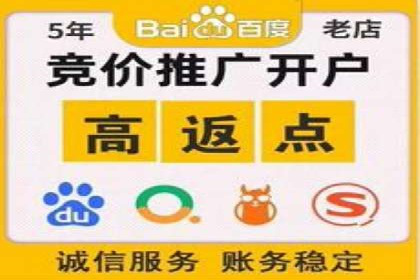 百度推广的成功案例：从零到一的突破